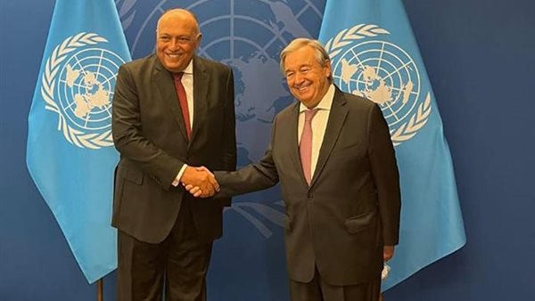 سامح شكري والسكرتير