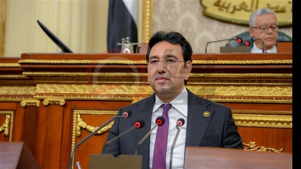 النائب أيمن محسب