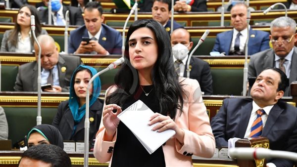  النائبة روان لاشين