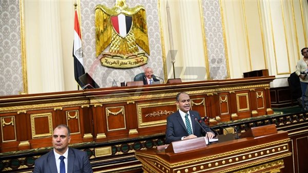 المستشار الدكتور