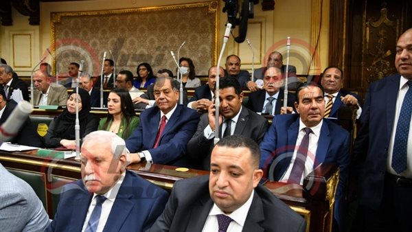 النائب أيمن أبو العلا