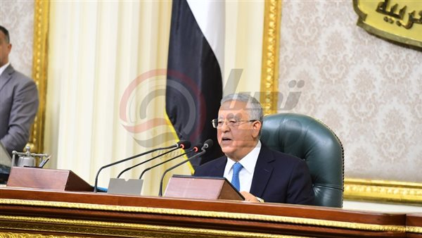 المستشار الدكتور