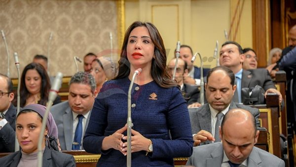 النائبة غادة علي