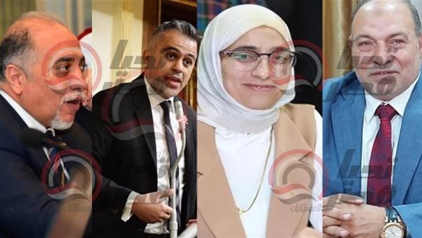 لجنة التضامن الاجتماعى