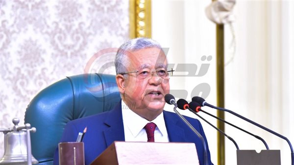 المستشار الدكتور