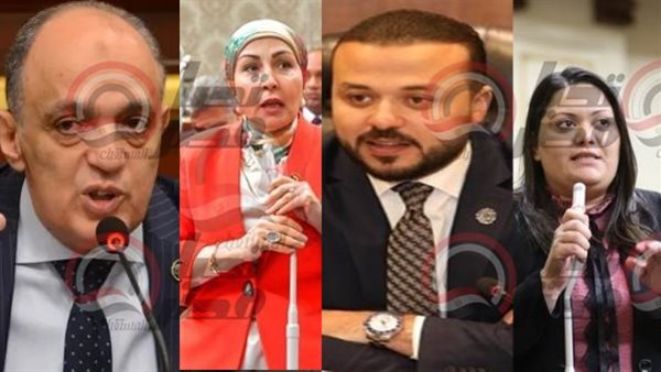 لجنة  المشروعات بمجلس