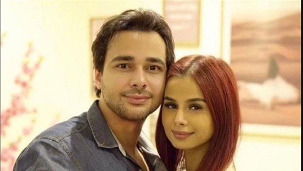 محمود المهدي طليق