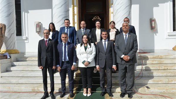 نواب التنسيقية