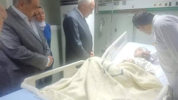 محافظ الجيزة