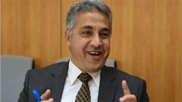 النائب أحمد السجيني