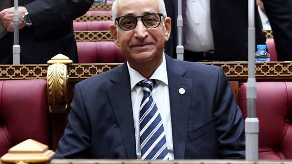 النائب حسانين توفيق