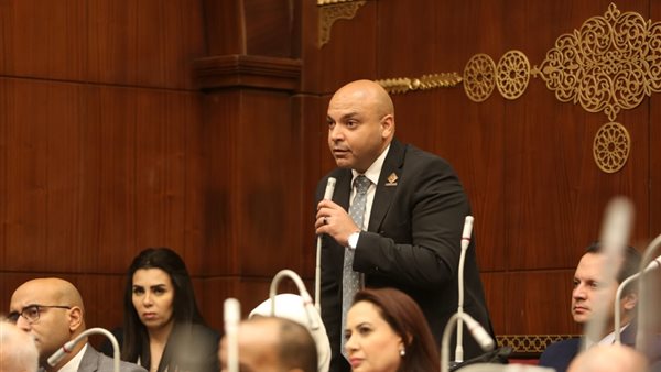  النائب محمود القط