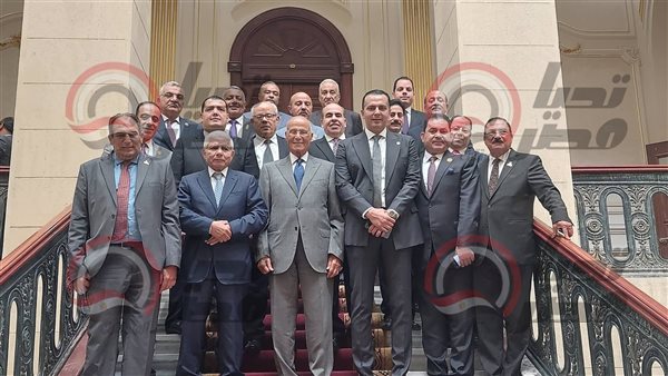 لجنة الشئون الدستورية