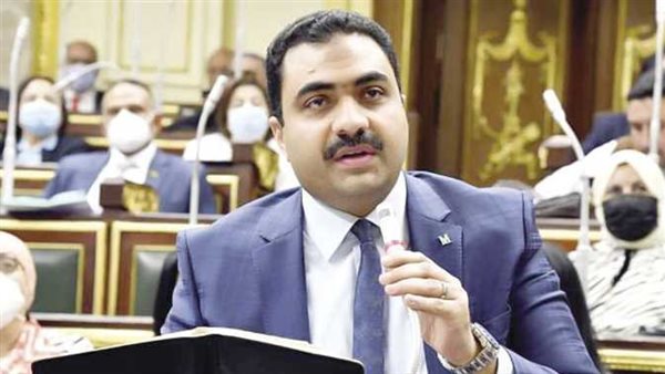 النائب محمود قاسم