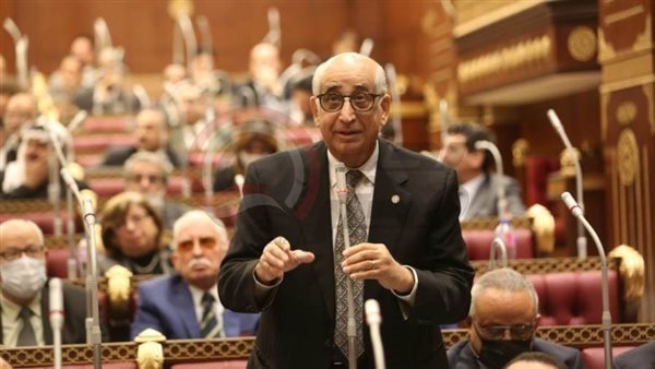 النائب حسانين توفيق