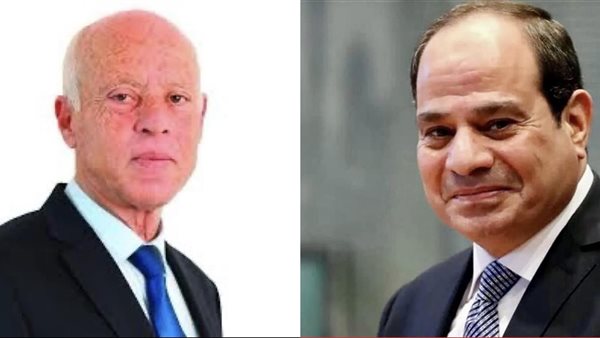 الرئيس السيسي ونظيره