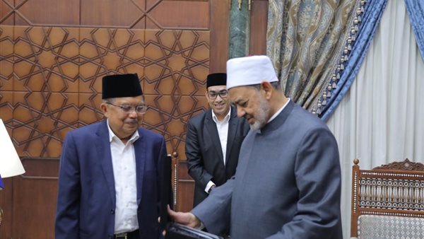 شيخ الأزهر ونائب