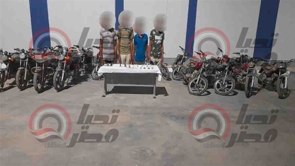  تشكيل عصابي بدمياط