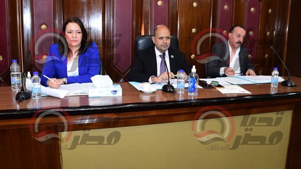 اجتماع لجنة الطاقة