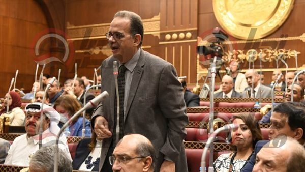 النائب طارق عبد العزيز