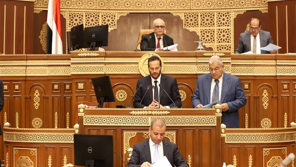 النائب محمد حلاوة