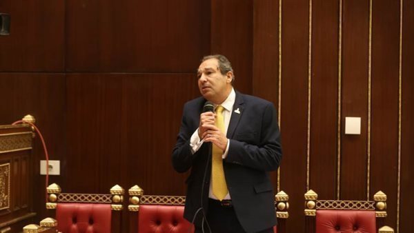 النائب حسام الخولي