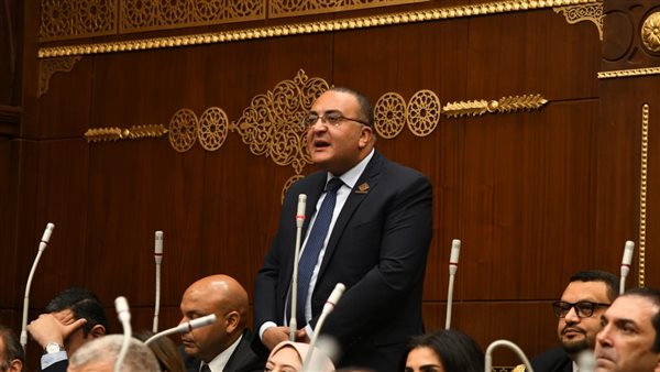 النائب عمرو حجاج