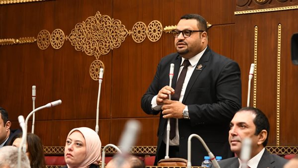 النائب أحمد القناوي