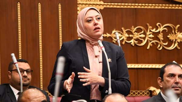  النائبة نهى أحمد