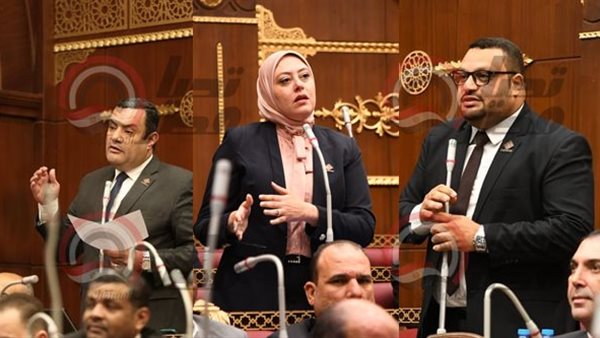 نواب تنسيقية شباب