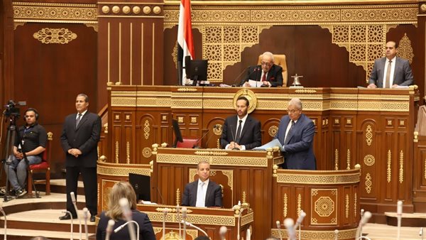 مجلس الشيوخ