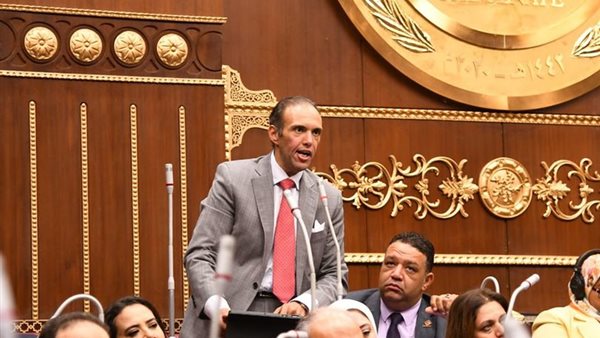  نائب التنسيقية محمد