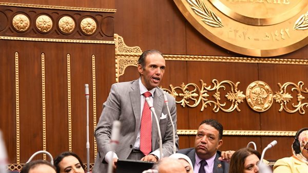  النائب  محمد فريد