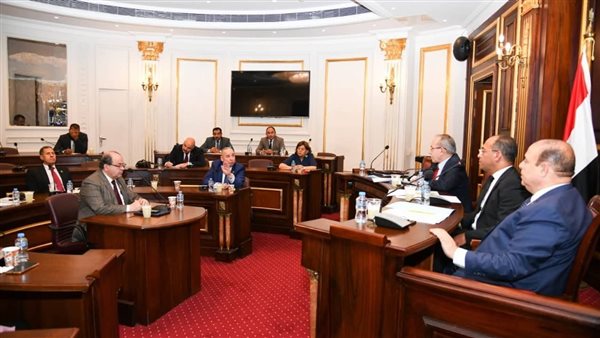  لجنة الصحة والسكان