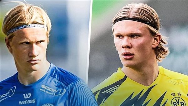 هالاند والبرت براون