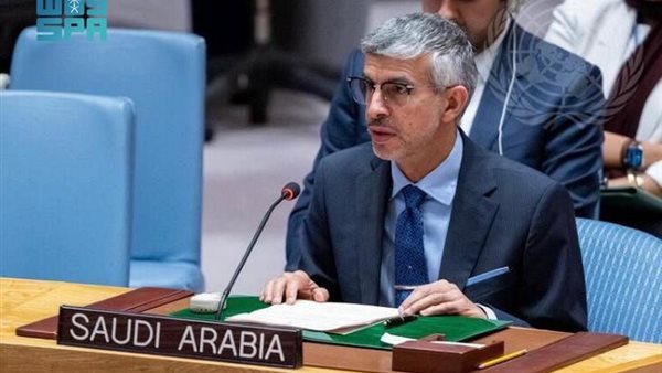  السفير الدكتور عبدالعزيز