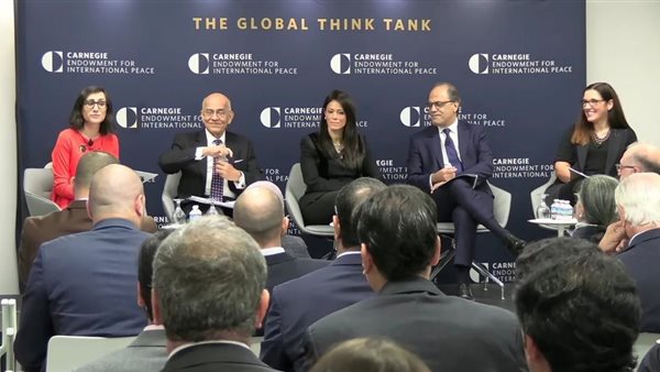 وزيرة التعاون الدولي