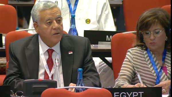  المستشار الدكتور