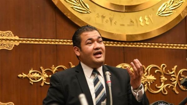  الدكتور محمد عمارة