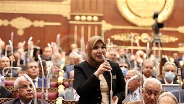 النائبة دينا هلالي