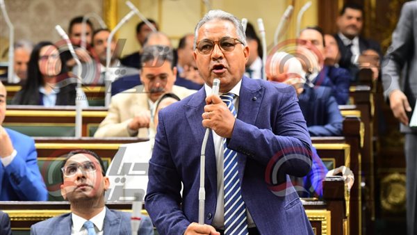 المهندس أحمد السجيني