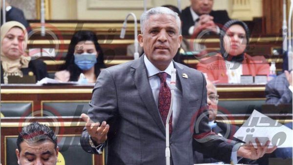 النائب محمد الحسينى