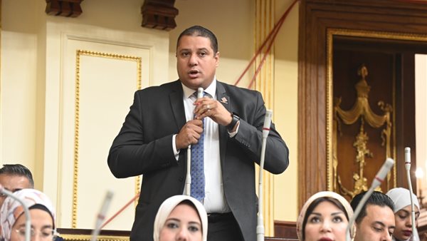  النائب محمد إسماعيل