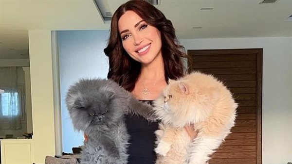 نسرين طافش والقطط