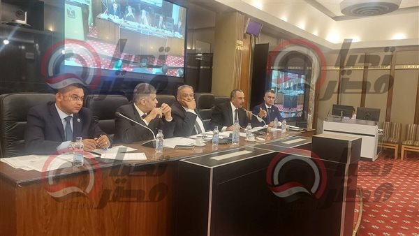 لجنة الشئون الدستورية