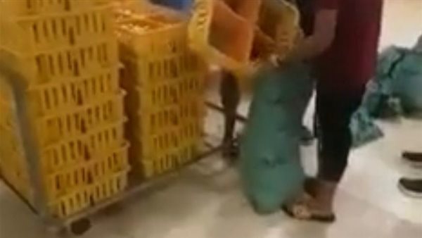 فيديو إعدام الكتاكيت