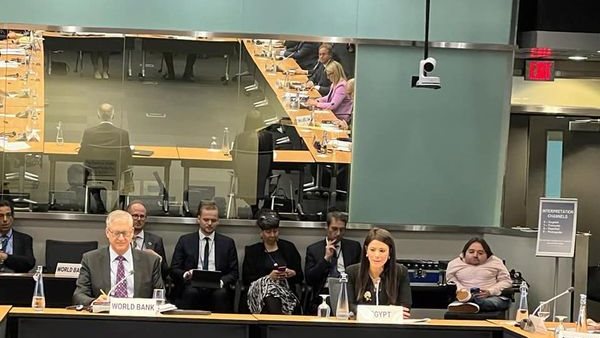 وزيرة التعاون الدولي