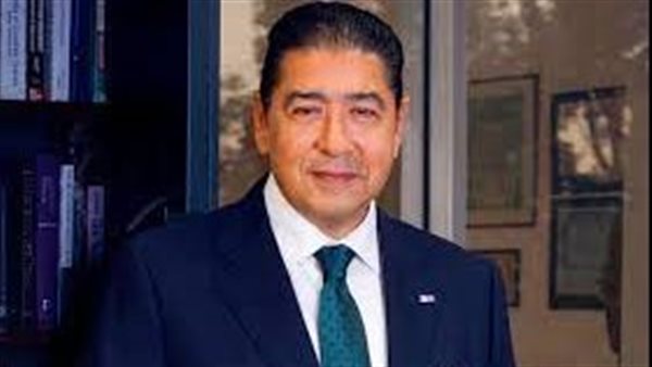 هشام عزالعرب، مستشار