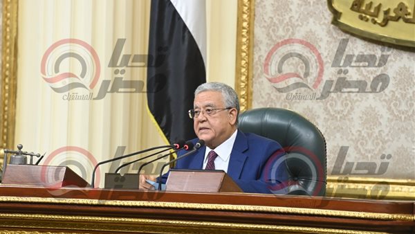 المستشار الدكتور