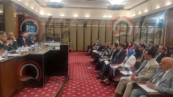 لجنة الشئون الدستورية